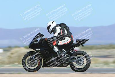 media/Apr-13-2024-SoCal Trackdays (Sat) [[f1617382bd]]/1-Back Straight Speed Pans (930am)/